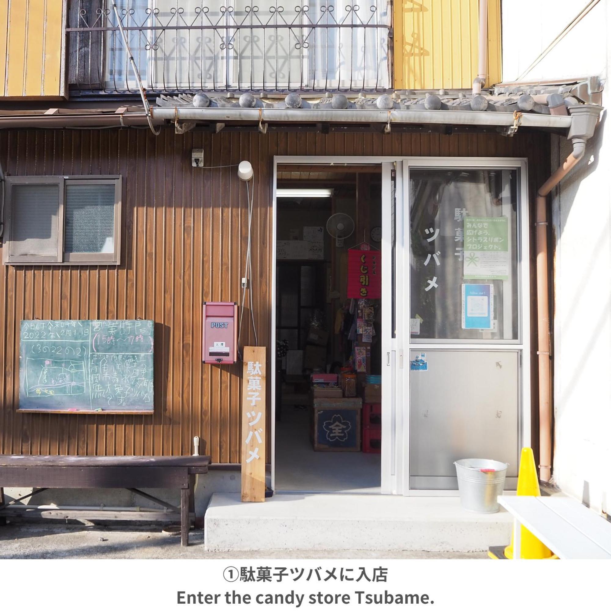 Backpackers Hostel Tsubamenoyado Shizuoka Exterior foto